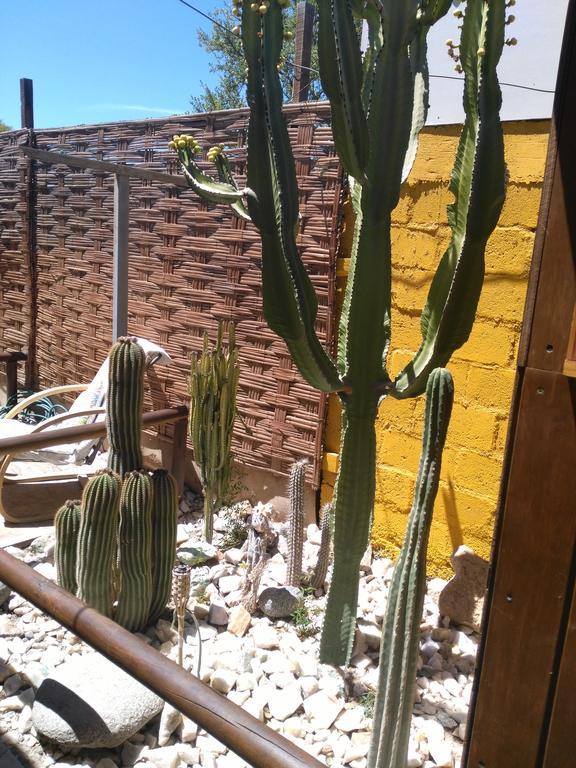 Hostal Cactus Copiapó Exteriér fotografie