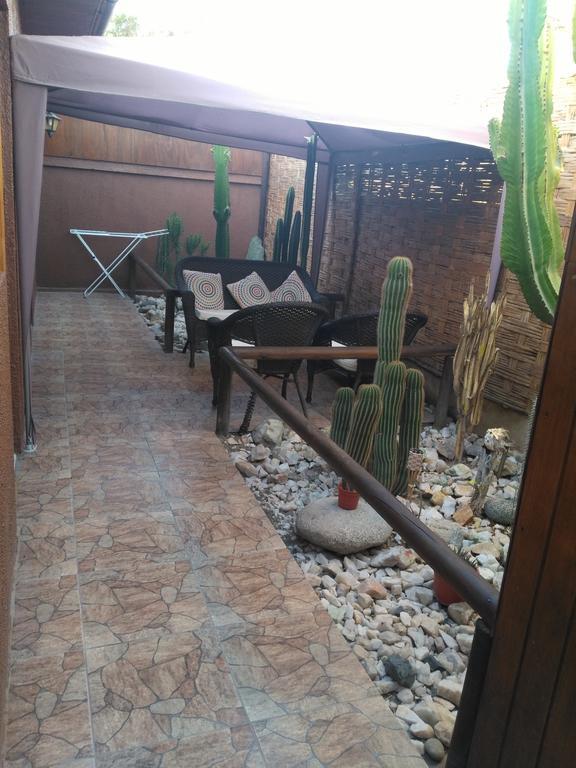 Hostal Cactus Copiapó Exteriér fotografie